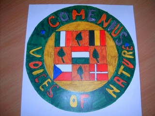 Comenius 2008